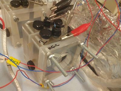 High Performing Gas Diffusion Biocathode for Microbial Fuel Cells Using Acidophilic Iron Oxidizing Bacteria